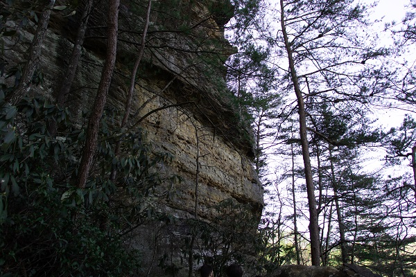 Cliffs in a forest